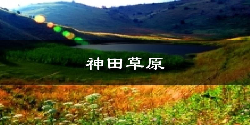神田草原气温