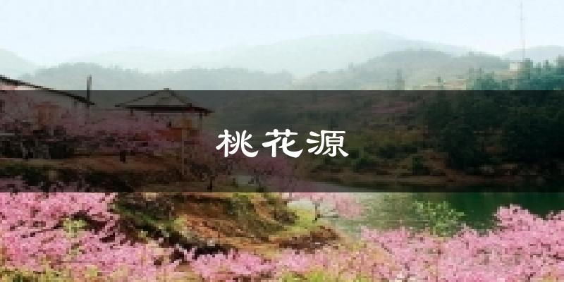 桃花源今日天气