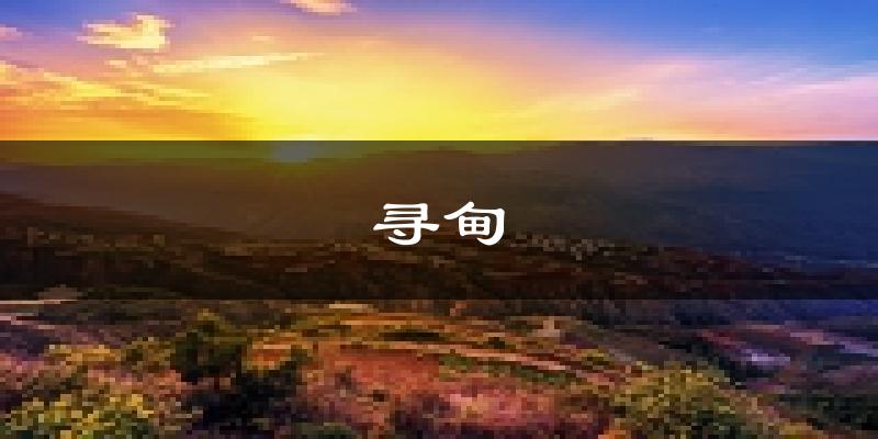 寻甸天气预报未来一周