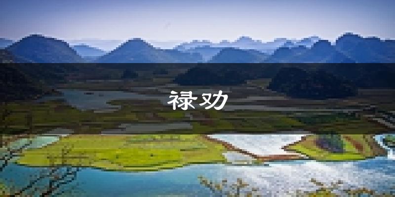 禄劝天气预报未来一周