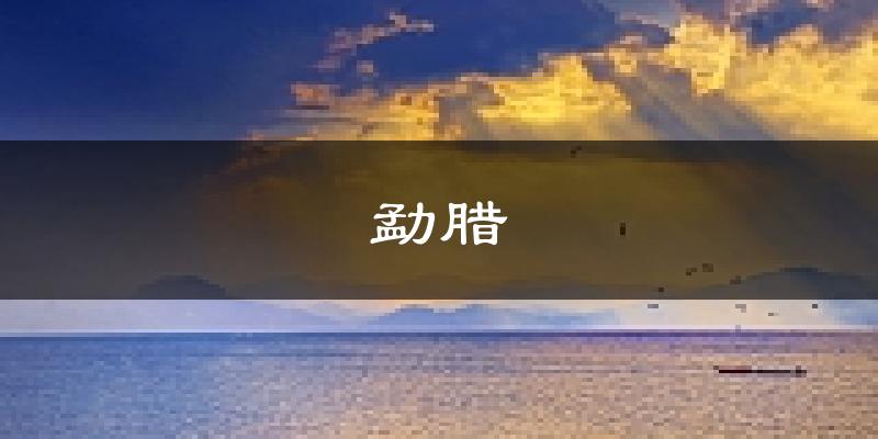 勐腊天气预报未来一周