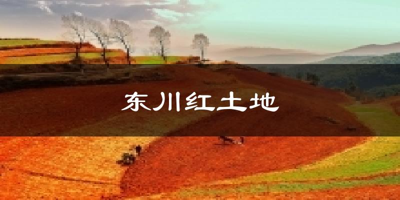 东川红土地气温