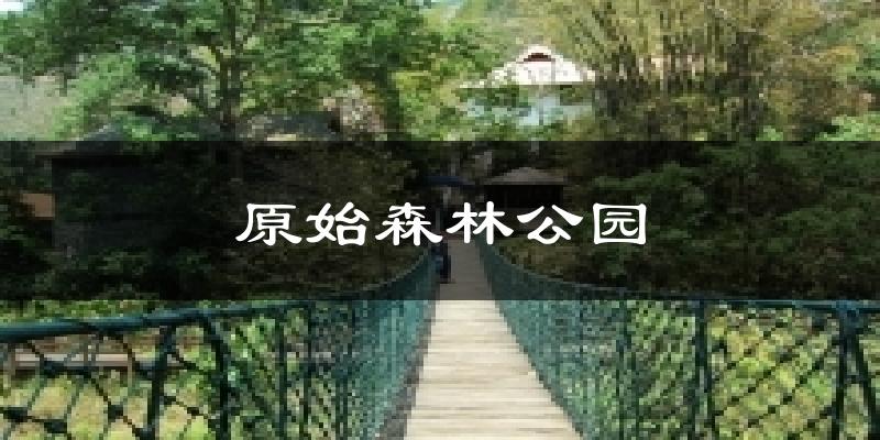 原始森林公园今日天气