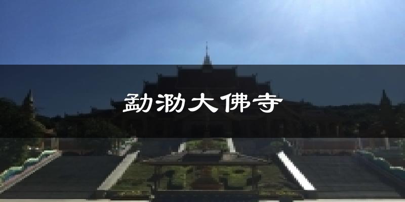 勐泐大佛寺今日天气
